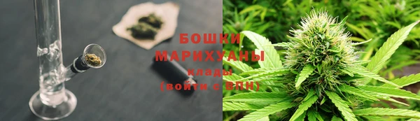 амф Липки