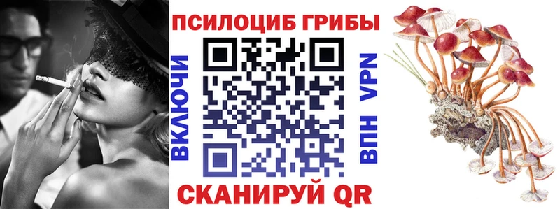 Галлюциногенные грибы прущие грибы  мега зеркало  Михайловка 