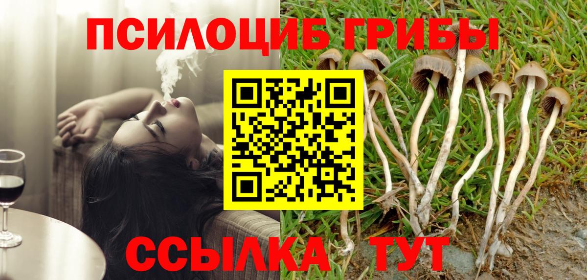 Галлюциногенные грибы мухоморы  Псилоцибиновые грибы Psilocybine cubensis  Вход с VPN  Михайловка 