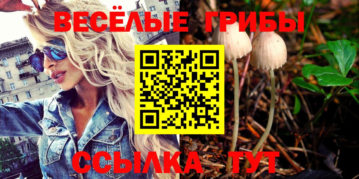 Галлюциногенные грибы Psilocybe Михайловка